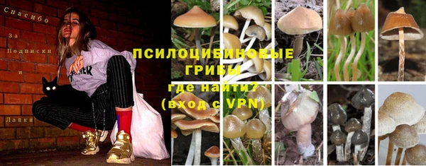 стафф Белоозёрский